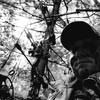 jasongibson842